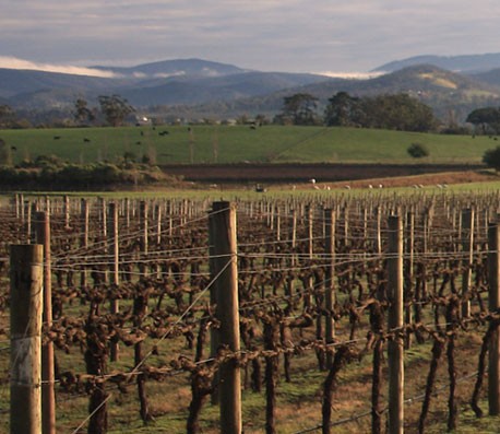 Web漏洞扫描工具